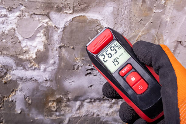 Best Attic Mold Remediation in Goodman, MS